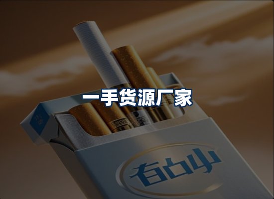 专业团队办公环境